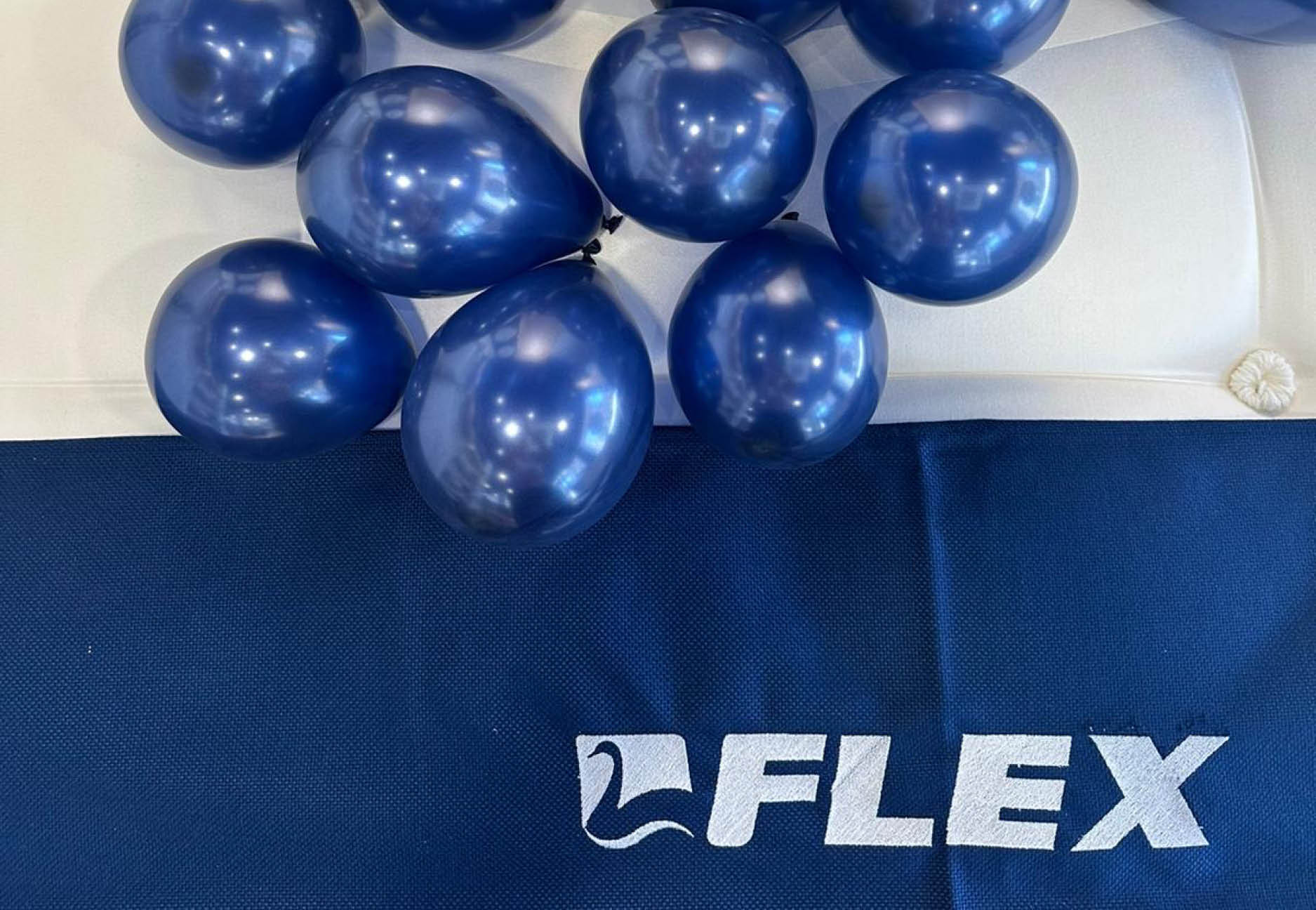 flex1